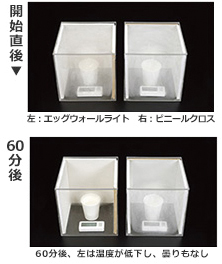 エッグウォールの小さな実験室