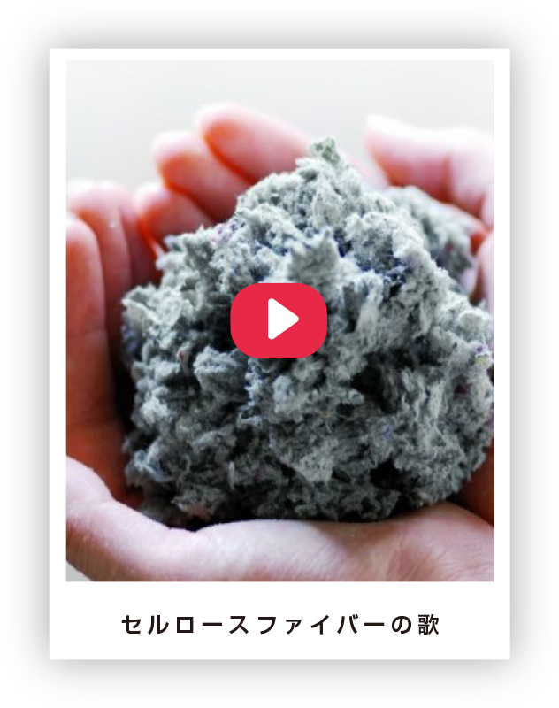 セルロースファイバーの歌